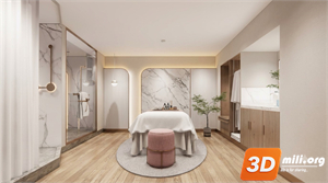 Spa Skp Files 